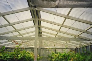 Hothouse built using plastic roofing products